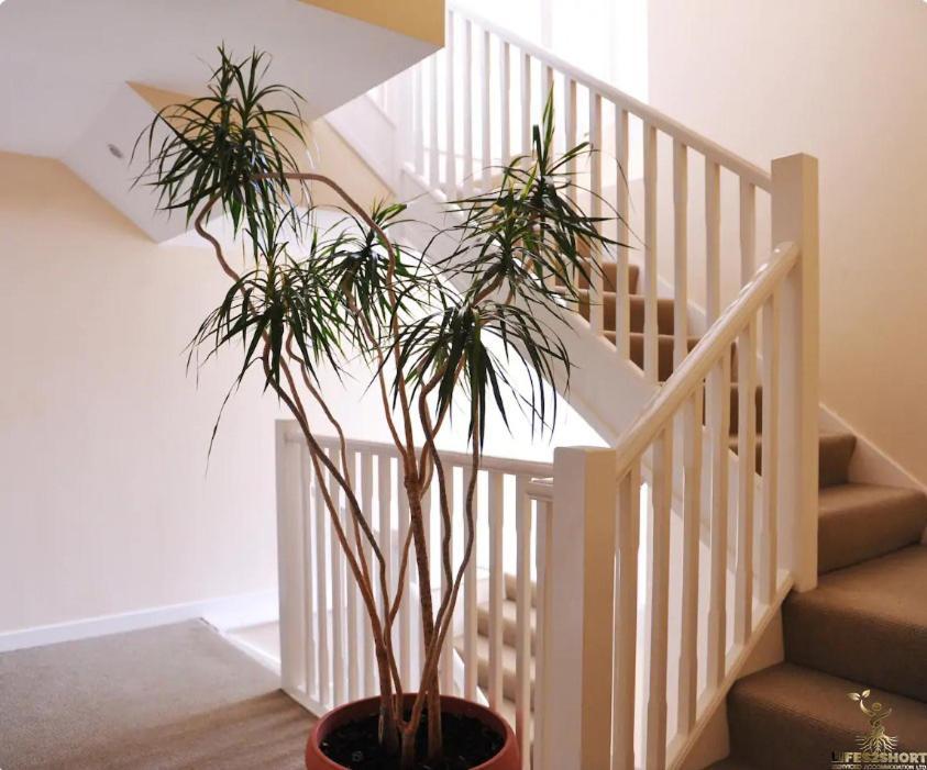 Smythen St, 2 Bed Apartment With Balcony Exeter Dış mekan fotoğraf